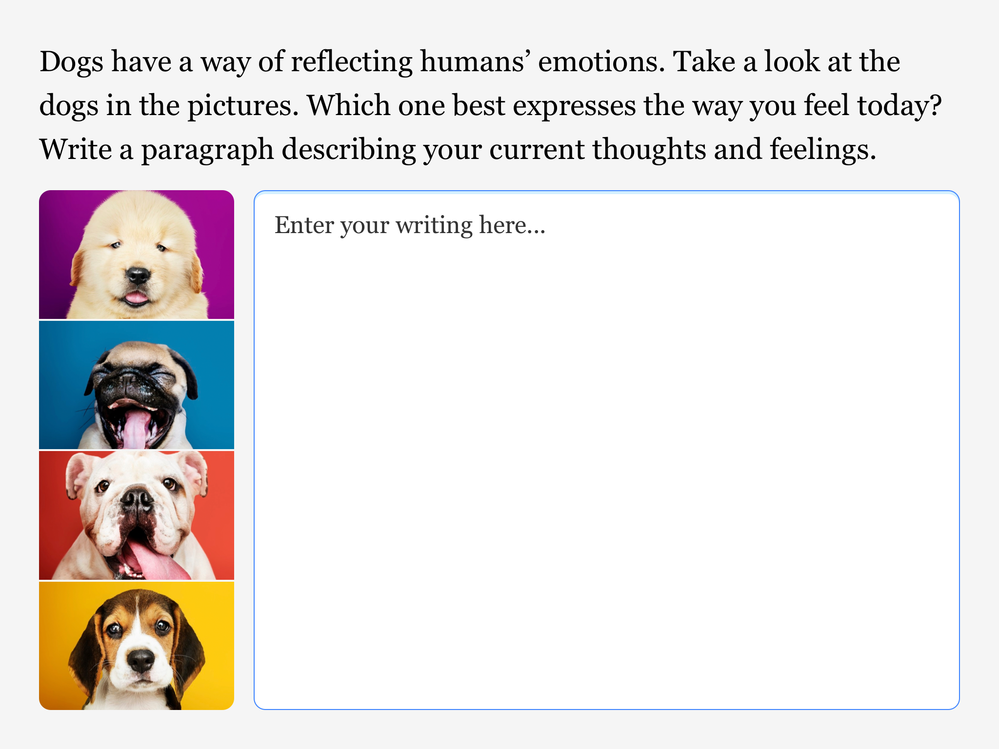 学生们用一个大文本框来回应以下提示：“狗有一种反映人类情绪的方式。看看图片中的狗。哪一只最能表达你今天的感受？写一段描述你当前的想法和感受。”